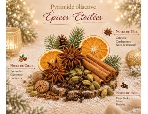 Bougie parfumée Épices Étoilées édition Noël cire végétale mèche bois couvercle céramique 180g - Lilosquare