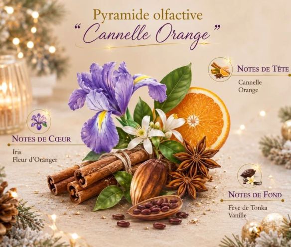 Bougie parfumée Cannelle Orange édition Noël Collines de Provence village hivernal manège doré 180g - Lilosquare
