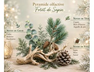 Bougie parfumée Forêt de Sapin édition Noël Collines de Provence village hivernal manège vert 180g - Lilosquare