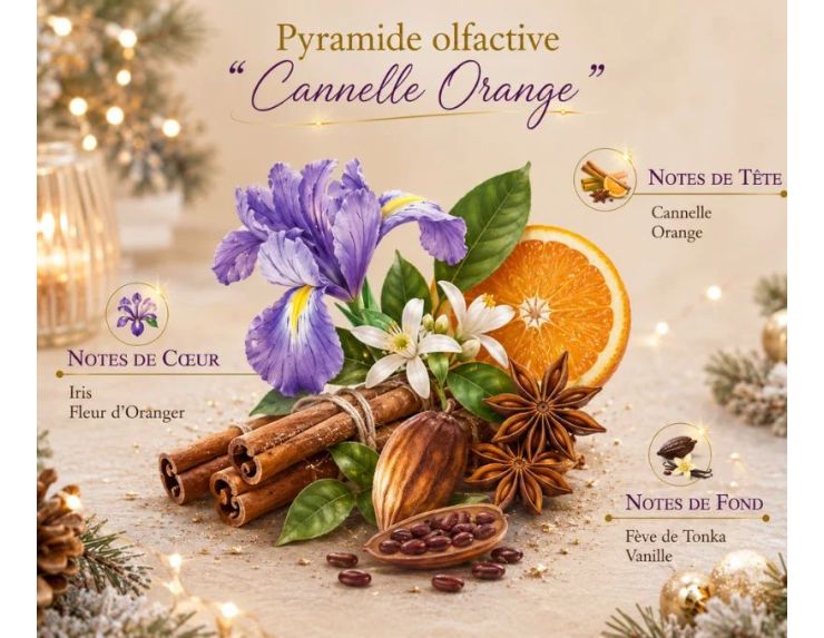 Spray d'ambiance Cannelle Orange édition Noël Collines de Provence flacon village hivernal manège doré 100ml - Lilosquare