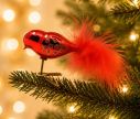 Voir la slide Oiseau sur pince verre soufflé rouge miroir queue plumes rouges motifs dorés pailletés L12cm - Lilosquare