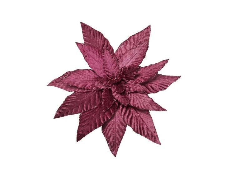 Fleur poinsettia velours bordeaux à clip H30cm, pétales nervurés aux bords pailletés, fixation sapin