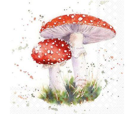 Serviettes 33x33cm motif champignons amanites tue-mouches rouges pois blancs herbe fond blanc aquarelle