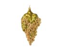 Voir la slide Suspension Noël verre soufflé grappe raisin blanc champagne dorée billes transparentes feuilles vigne vertes H14cm