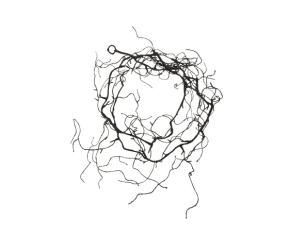 Guirlande décorative noir...