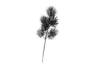 Branche fougère Noire...