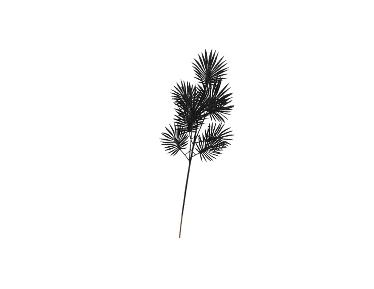 Branche fougère Noire brillante H 20cm