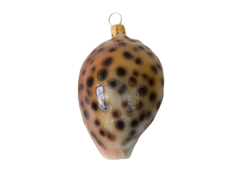 Boule de Noël insolite coquillage cauri brun verre soufflé H 10cm. Marque Lilosquare