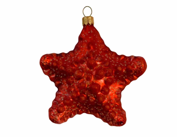 Suspension de Noël étoile de mer verre soufflé H 10cm