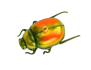 Boule de Noël scarabée...