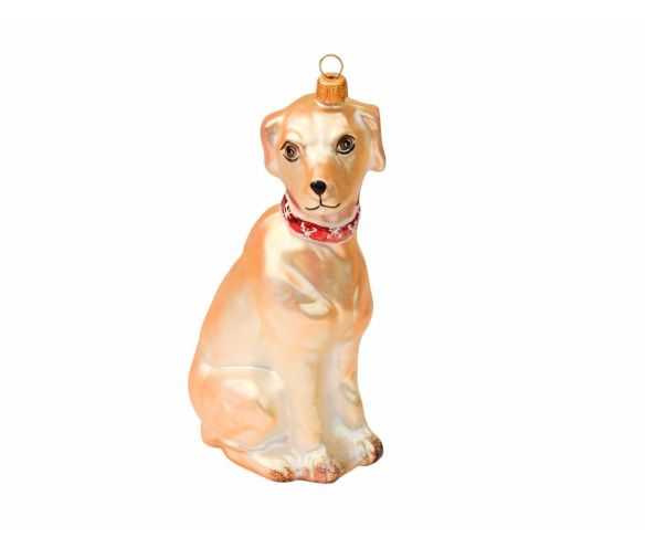Boule de Noël labrador verre soufflé H19cm