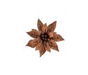 Voir la slide Petite fleur de Noël Poinsettia bronze pailleté avec clip.

Diamètre 8cm.