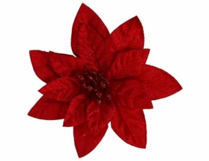 Poinsettia rouge velours D12cm