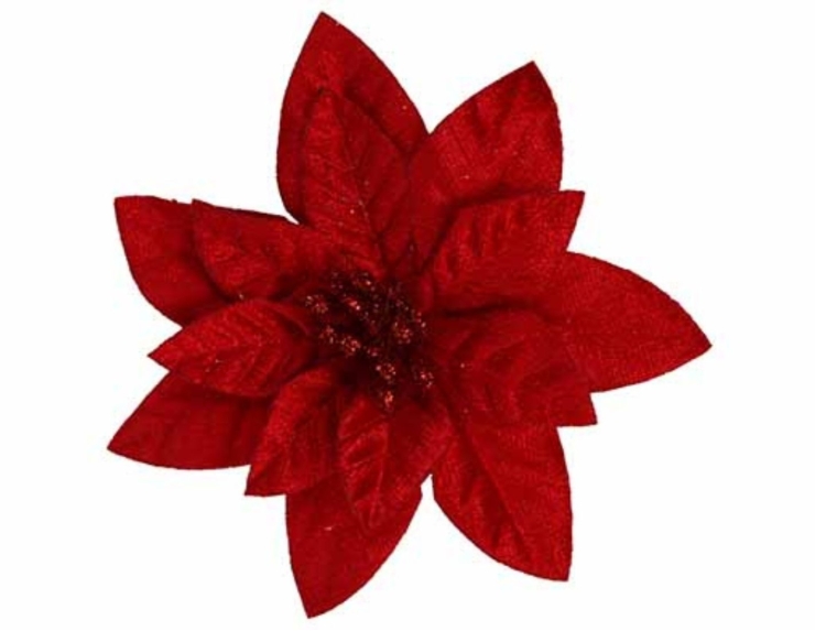 Poinsettia rouge velours D12cm