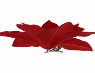 Poinsettia rouge velours D12cm
