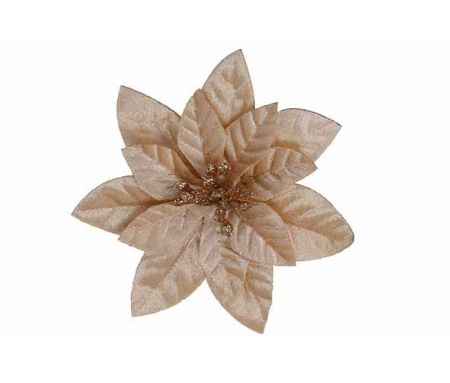 Fleur de Noël Poinsettia champagne en velours sur clip pour décorer les extrémités de votre sapin de Noël.

Diamètre 12cm