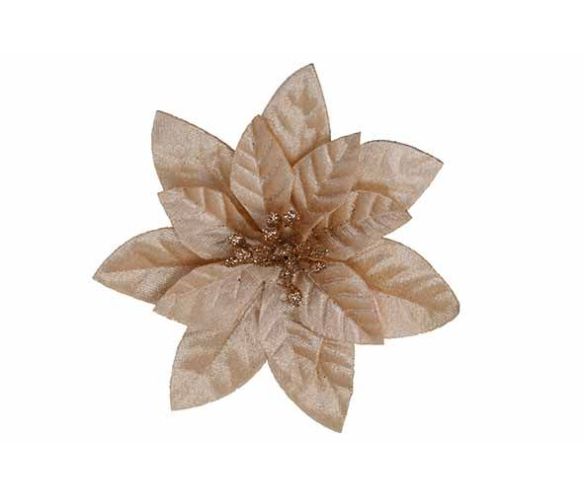 Fleur de Noël Poinsettia champagne en velours sur clip pour décorer les extrémités de votre sapin de Noël.

Diamètre 12cm
