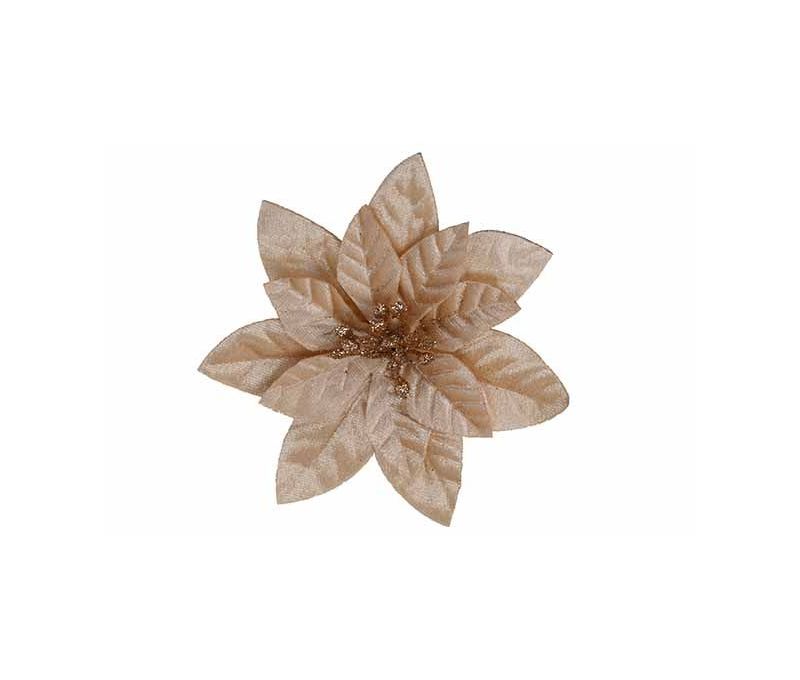 Fleur de Noël Poinsettia champagne en velours sur clip pour décorer les extrémités de votre sapin de Noël.

Diamètre 12cm