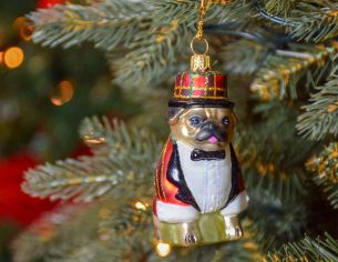 Boule de Noël chien Carlin en verre soufflé avec son costume de Noël. Décoration à suspendre au sapin de Noël , made in Europe
