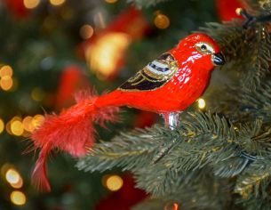 Boule de Noël oiseau cardinal rouge doré et noir en verre soufflé sur clip pour attacher à votre sapin de Noël.