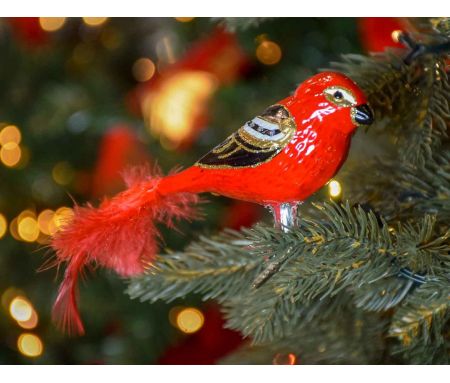 Boule de Noël oiseau cardinal rouge doré et noir en verre soufflé sur clip pour attacher à votre sapin de Noël.