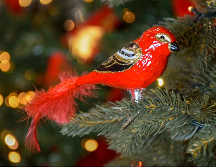 Boule de Noël oiseau cardinal rouge doré et noir en verre soufflé sur clip pour attacher à votre sapin de Noël.