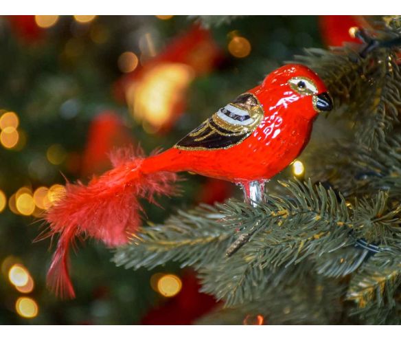 Boule de Noël oiseau cardinal rouge doré et noir en verre soufflé sur clip pour attacher à votre sapin de Noël.
