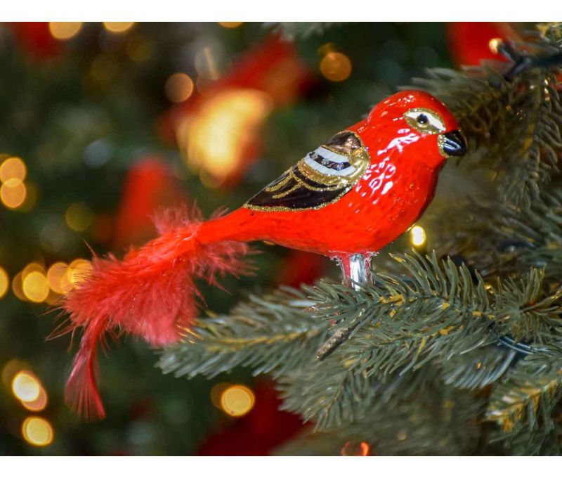 Boule de Noël oiseau cardinal rouge doré et noir en verre soufflé sur clip pour attacher à votre sapin de Noël.