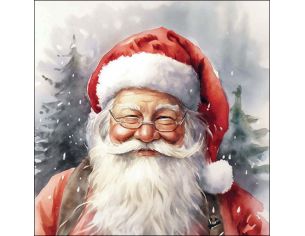 Serviettes visage Père Noël...