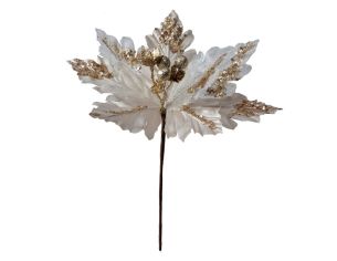 Fleur Poinsettia champagne...