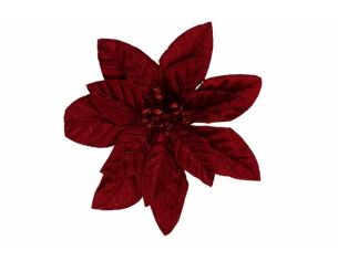 Poinsettia bordeaux velours...