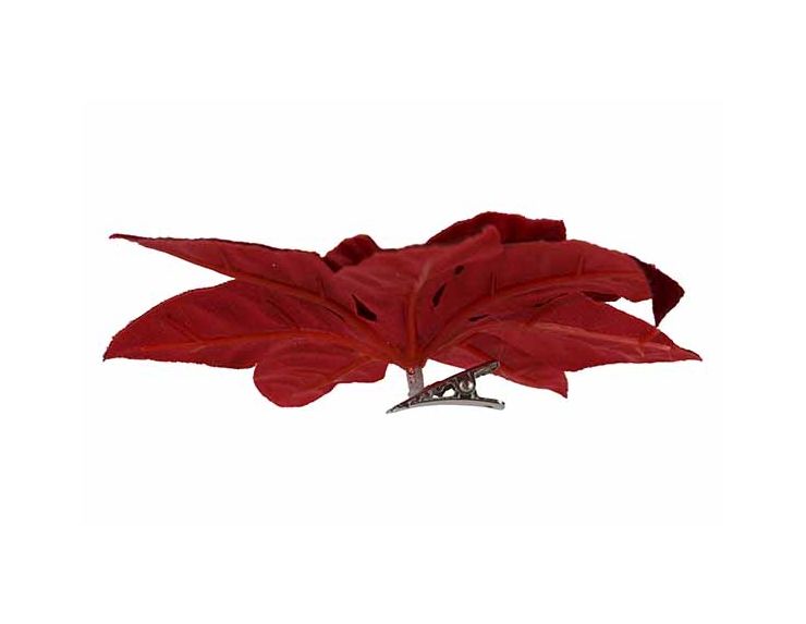 Poinsettia bordeaux velours D12cm
