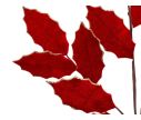 Voir la slide Branche décorative Noël feuilles houx velours rouge contours dorés pailletés deux tiges marron H82cm
