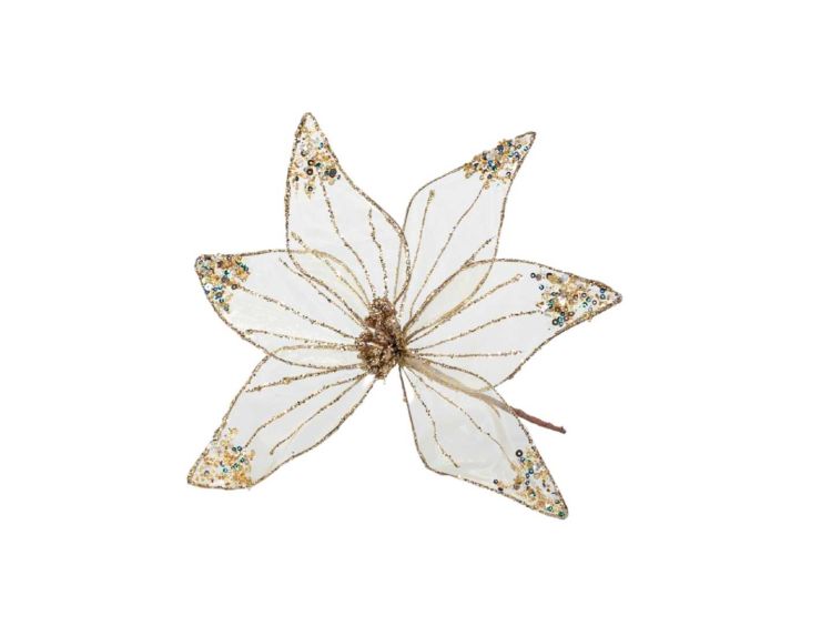 Poinsettia champagne organza 30 cm