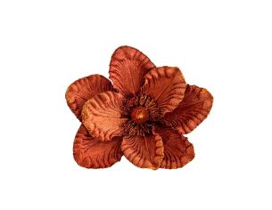 Tige magnolia cuivré D 24cm