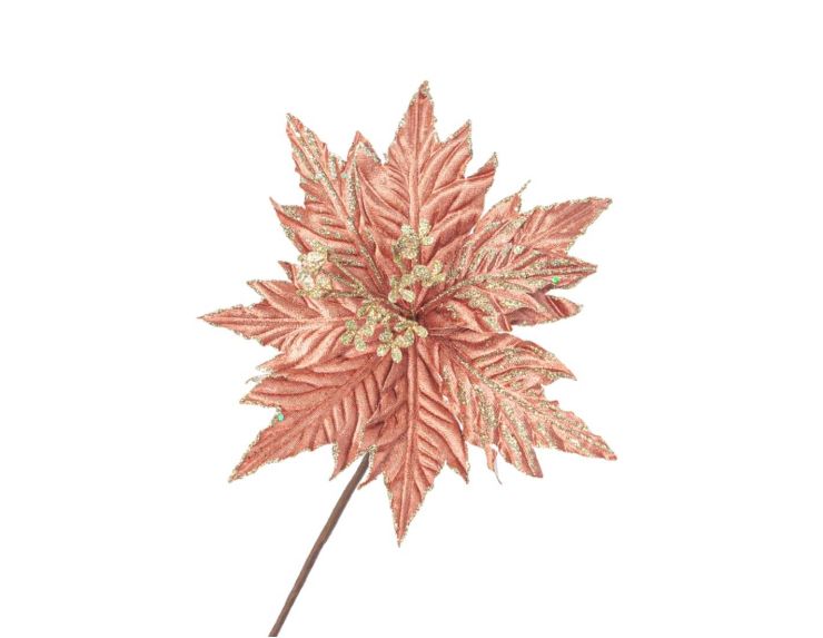 Poinsettia rose poudré détails dorés 60 x 25 cm
