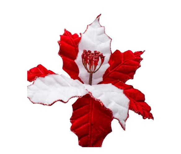 Fleur poinsettia artificielle velours bicolore rouge blanc face enneigée bords paillettes rouges pistils rouges D25cm
