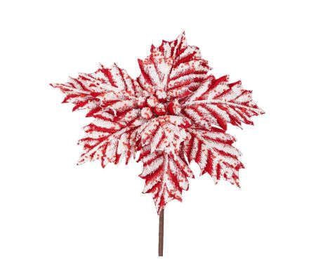 Poinsettia frosty candy 27 x 45 cm