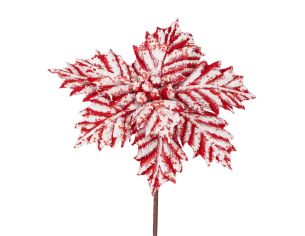 Poinsettia frosty candy 27 x 45 cm