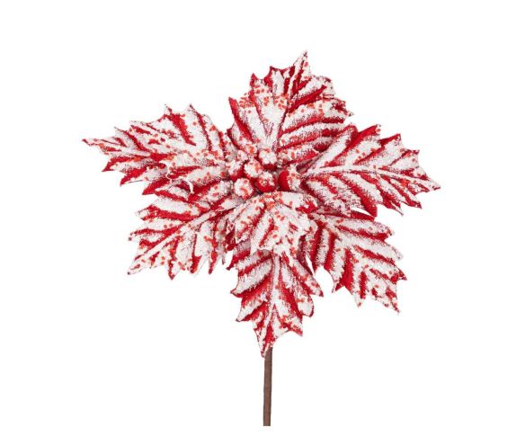 Poinsettia frosty candy 27 x 45 cm