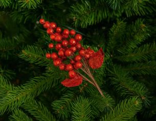 Branche de baies rouges pailletées H34 cm