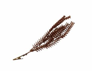 Branche champagne rosé clip H 25 cm