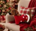 Voir la slide Coussin Noël teckel Schnitzel pull rouge pompons multicolores 43x28cm - Lilosquare