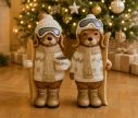 Voir la slide Figurine chien résine effet pierre mate pull jacquard blanc or écharpe bonnet lunettes ski skis bois H45cm - Lilosquare